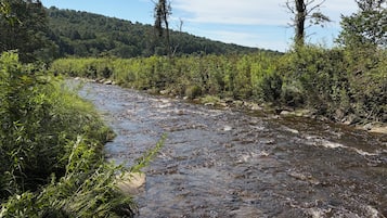 A river flowing through a forested area with a clear sky above.
