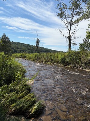 Joki virtaa metsäisen alueen läpi, ja sen yllä on kirkas taivas.