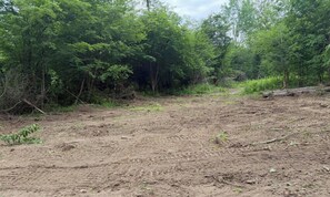 A natural, forested area with a dirt path.