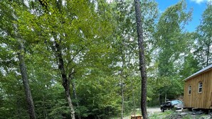 A gravel path leading to a wooden cabin in a wooded area. - Peaceful & private 1 room cabin  
near stream/water (Smithville Flats)