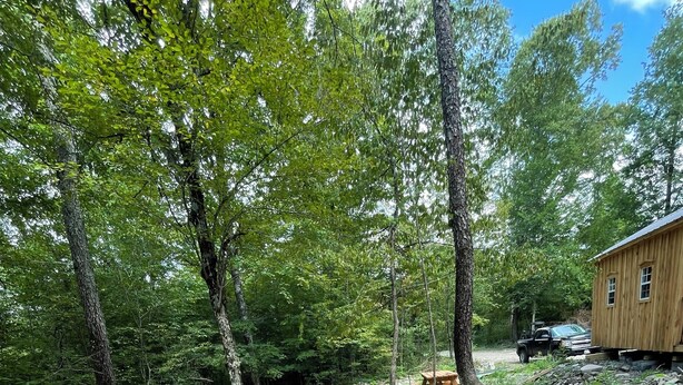 Ein Kiesweg führt zu einer Holzhütte in einem Waldgebiet.