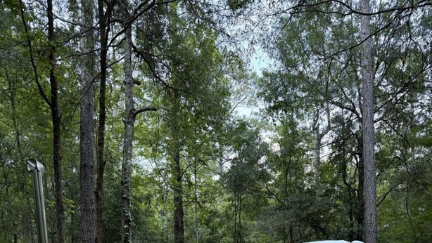 Geodeettinen kupolirakennelma metsäisessä ympäristössä, jossa on puinen terassi ja sauna.