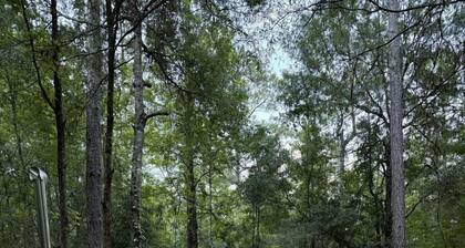 Dome Tent Retreat with Private Wood-Fired Hot Tub in Branchville, South Carolina