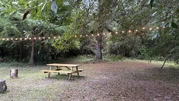 Une table de pique-nique dans un espace boisé, avec des guirlandes lumineuses suspendues au-dessus.