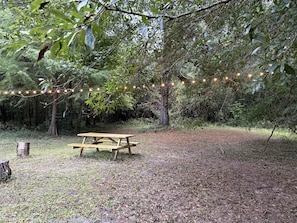 A picnic table in a forested area with string lights overhead.