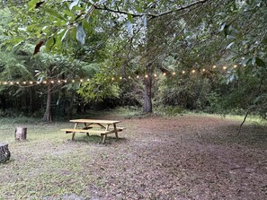 A picnic table in a forested area with string lights overhead.