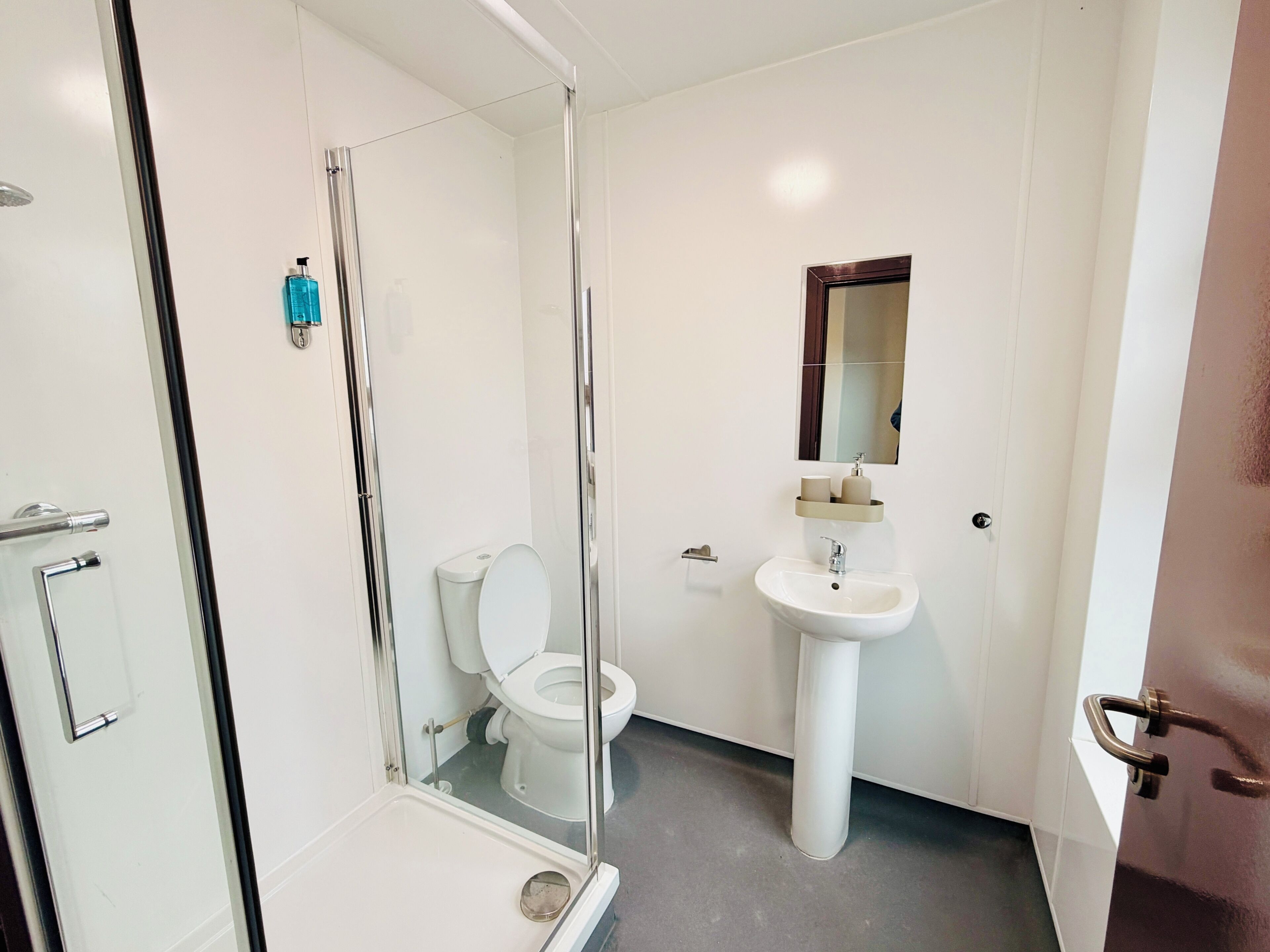 Un baño con ducha envuelta en vidrio, inodoro blanco, lavamanos pedestal y un espejo sobre el lavamanos.