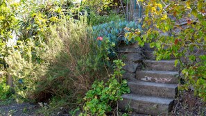 A stone staircase surrounded by dense vegetation and plants. - Desertas Vista Casa by LovelyStay (Gaula)
