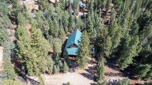 A cabin surrounded by dense forest, with a clear sky above. - Luxury Cottage w/NEW HOT TUB near National Parks and Loaded with Amenities (Duck Creek Village)