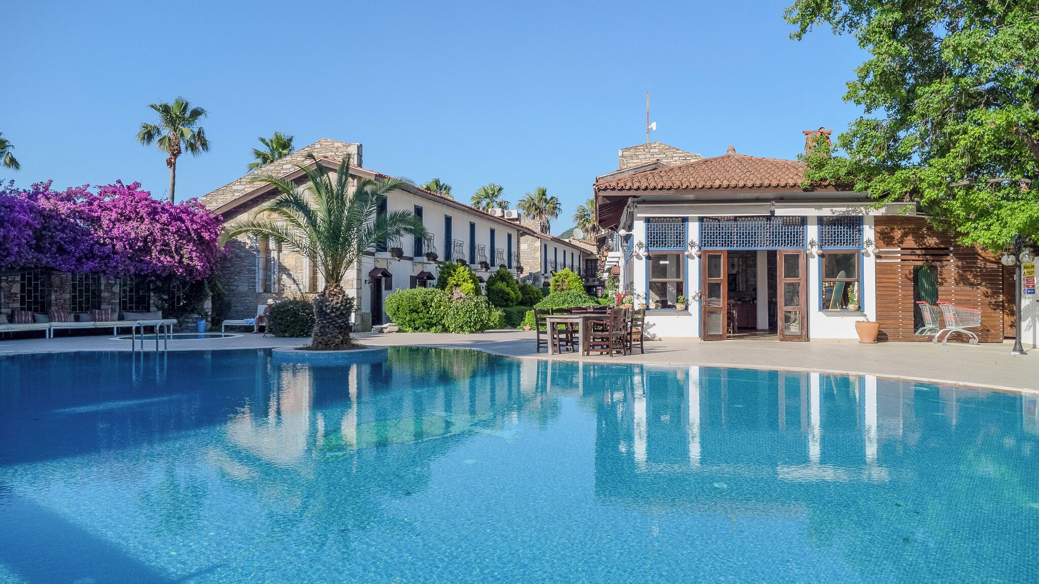 A pool with clear water, a building with a tiled roof, and a palm tree.
