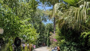 Un sendero de piedra que atraviesa un jardín exuberante con diversas plantas y un banco.