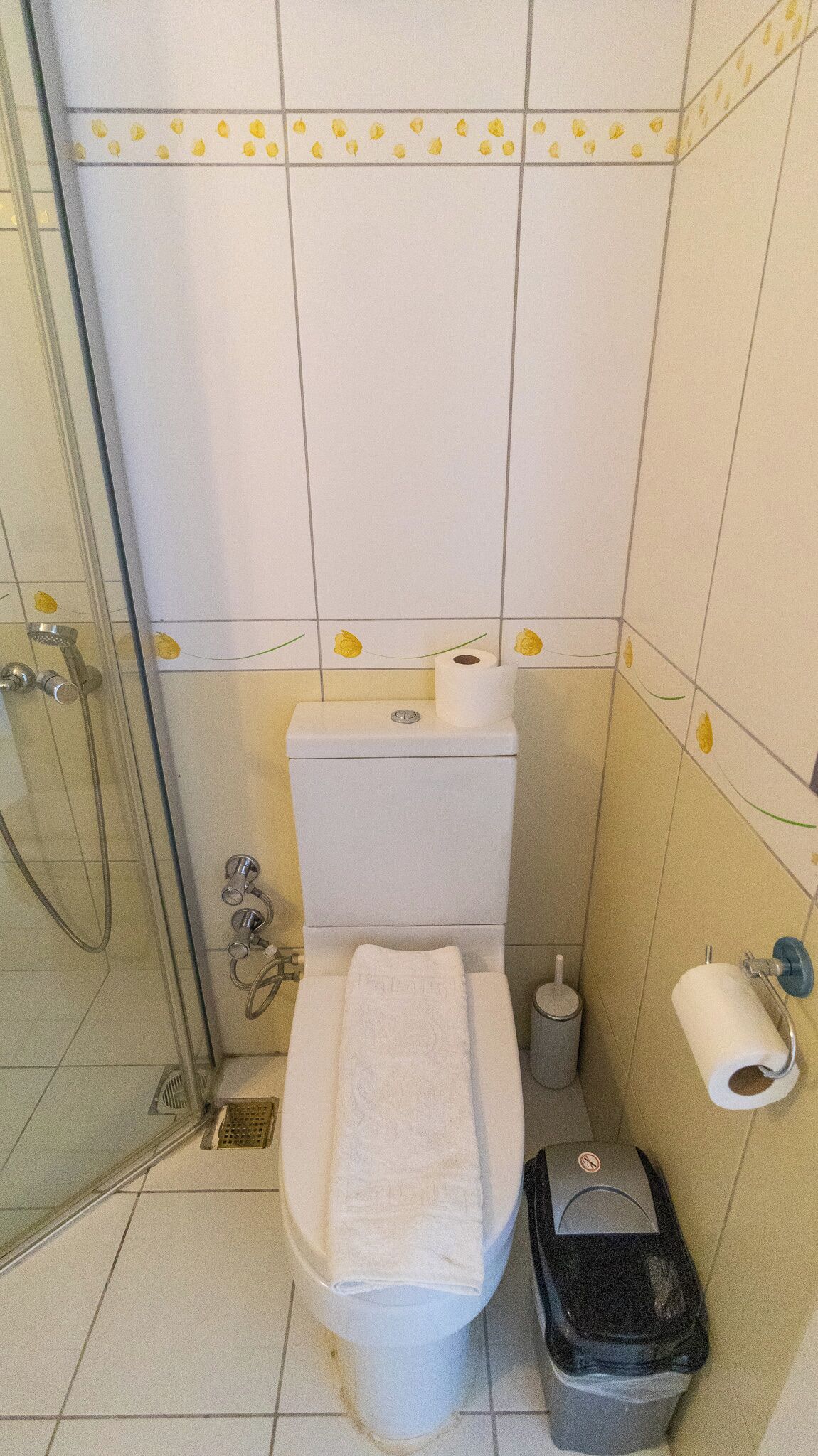 A bathroom with a toilet, a shower, and a trash bin.
