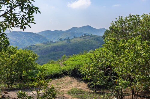 Nithara Hills Resort