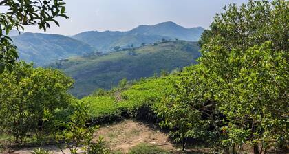 Nithara Hills Resort
