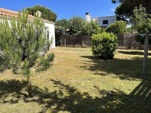 Ein Garten mit einem kleinen Baum, einem Busch und einem Holzzaun.