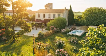 Mas authentique de charme en Camargue avec spa de nage et bassin