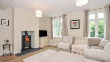 A living room with a fireplace, sofa, TV, and windows.
