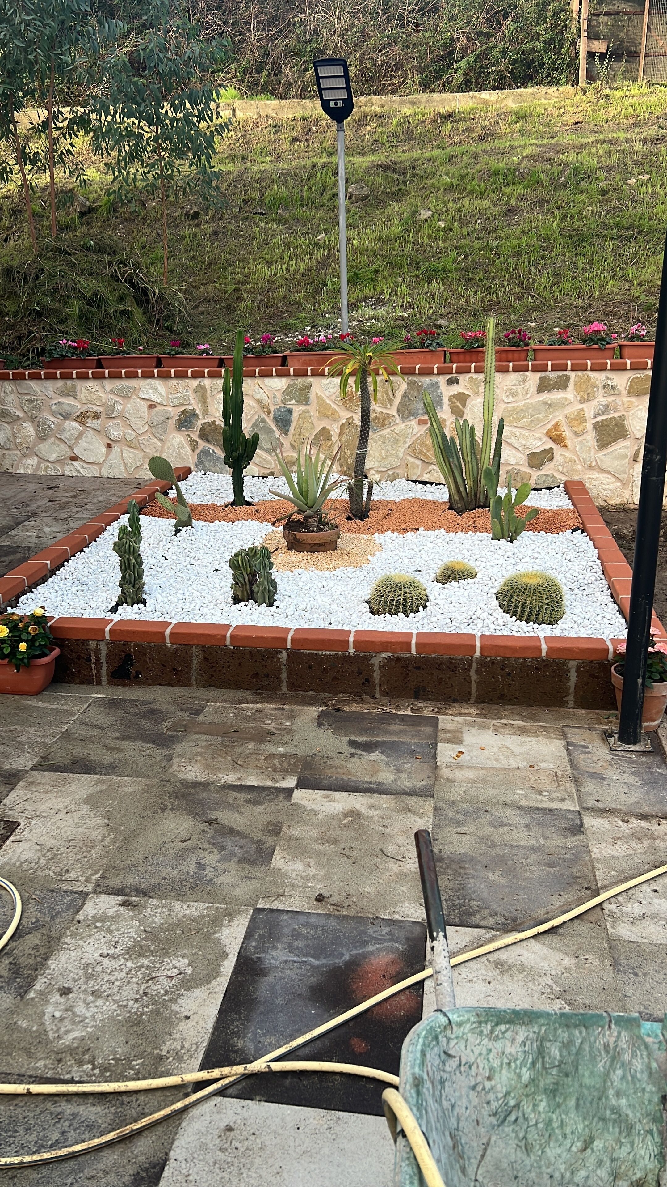 Ein Garten mit verschiedenen Kakteen und Sukkulenten, einer Steinmauer und einer solarbetriebenen Straßenlaterne.