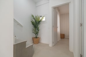 Ein Flur mit einer Zimmerpflanze, einem Fenster und einer Tür zu einem weiteren Raum.