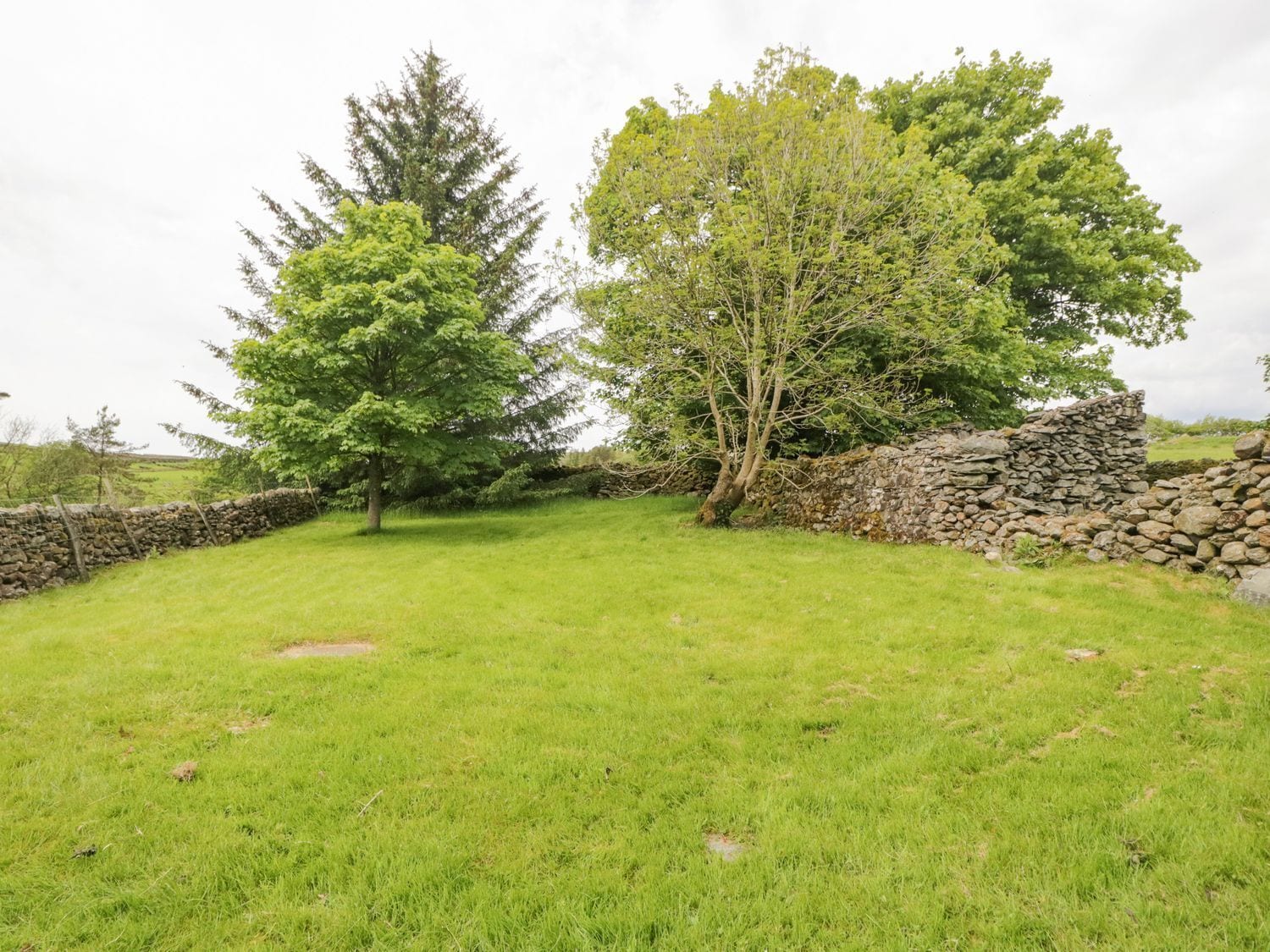 A grassy field with a stone wall and trees.