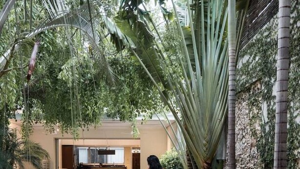 Zona de piscina con sillones de descanso, un sendero y vegetación tropical.