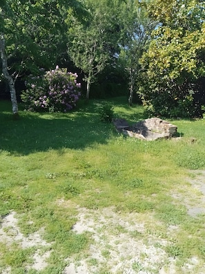 Une zone herbeuse avec des arbres et une formation rocheuse.