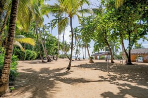 Une plage bordée de palmiers, une hutte au toit de chaume et un sentier sablonneux.