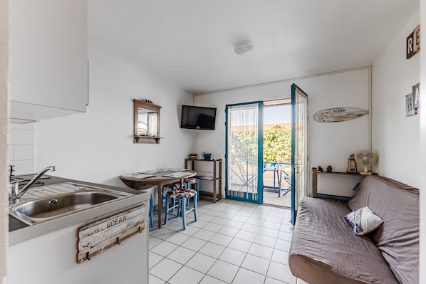 TV - “Ocean” Apartment in Biscarrosse (Biscarrosse)