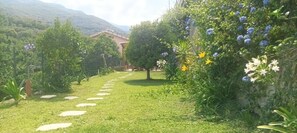 Caminho no jardim que leva a um edifício com montanhas ao fundo.