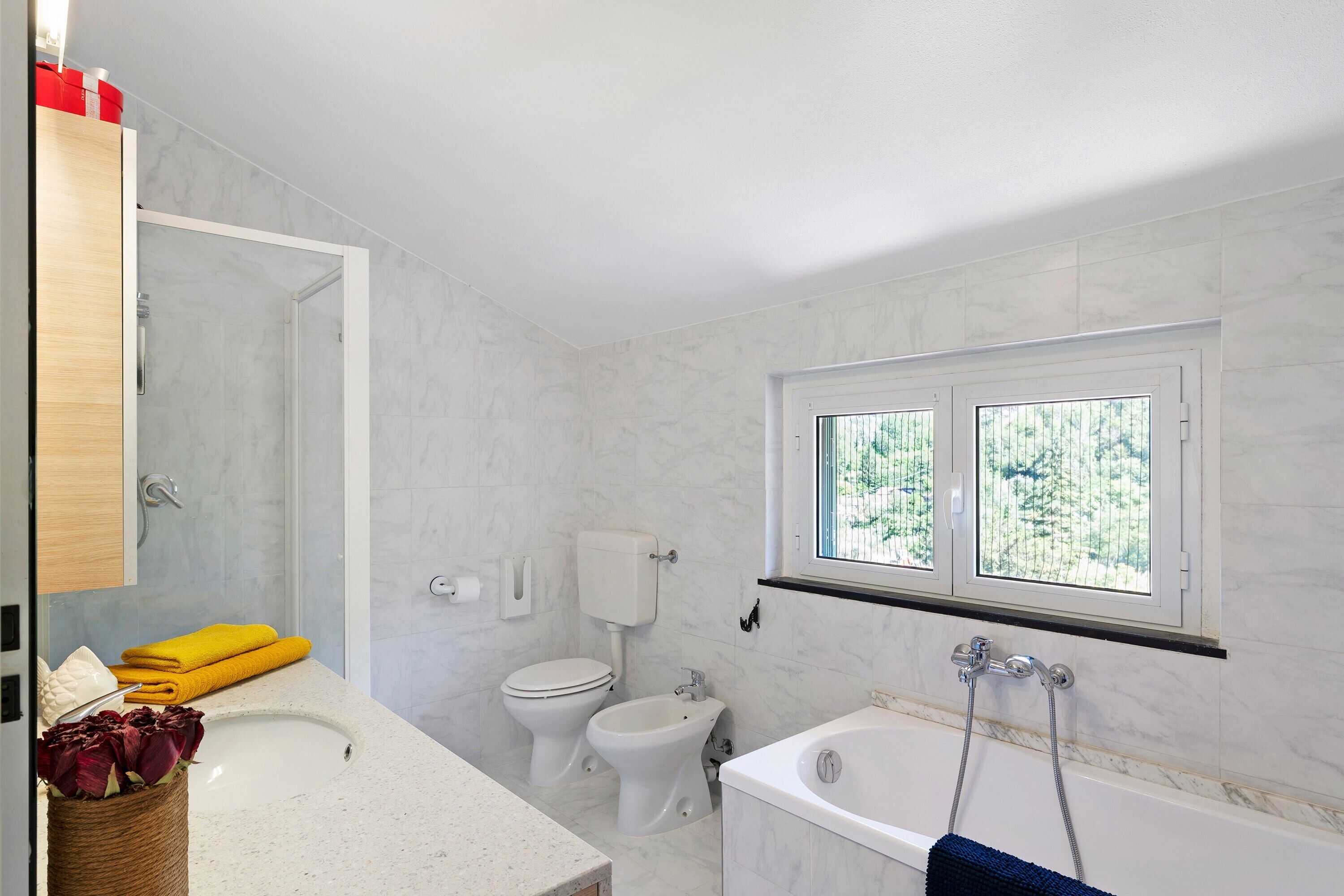 Shower, hair dryer, towels