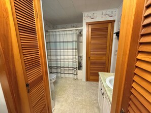 Ducha, secador de pelo, toallas, jabón