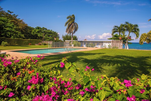 Pool - Peaceful 6-bedroom beachfront townhome with AC in vibrant Ocho Rios (Ocho Rios)