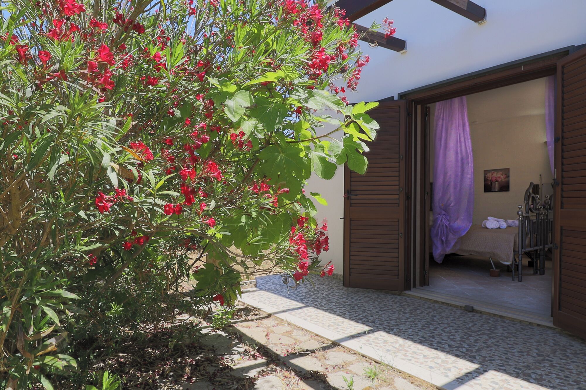 Un giardino con fiori rossi, un patio piastrellato e una stanza con una tenda viola.