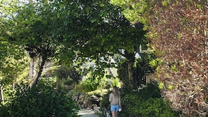 A gravel path surrounded by dense greenery and trees. - Beach Walk, Hot Tub, Pool, Gym, Fire Pit, Games, Sleeps 13 (Lincoln City)