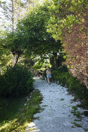 Ein Kiesweg, umgeben von dichtem Grün und Bäumen.