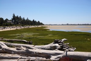 A beach with driftwood, a clear sky, and a distant shoreline with buildings. - Beach Walk, Hot Tub, Pool, Gym, Fire Pit, Games, Sleeps 13 (Lincoln City)