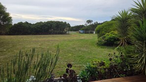 A grassy field with a wooden deck, surrounded by various plants and trees. - Prom Coast Residence (Fish Creek)