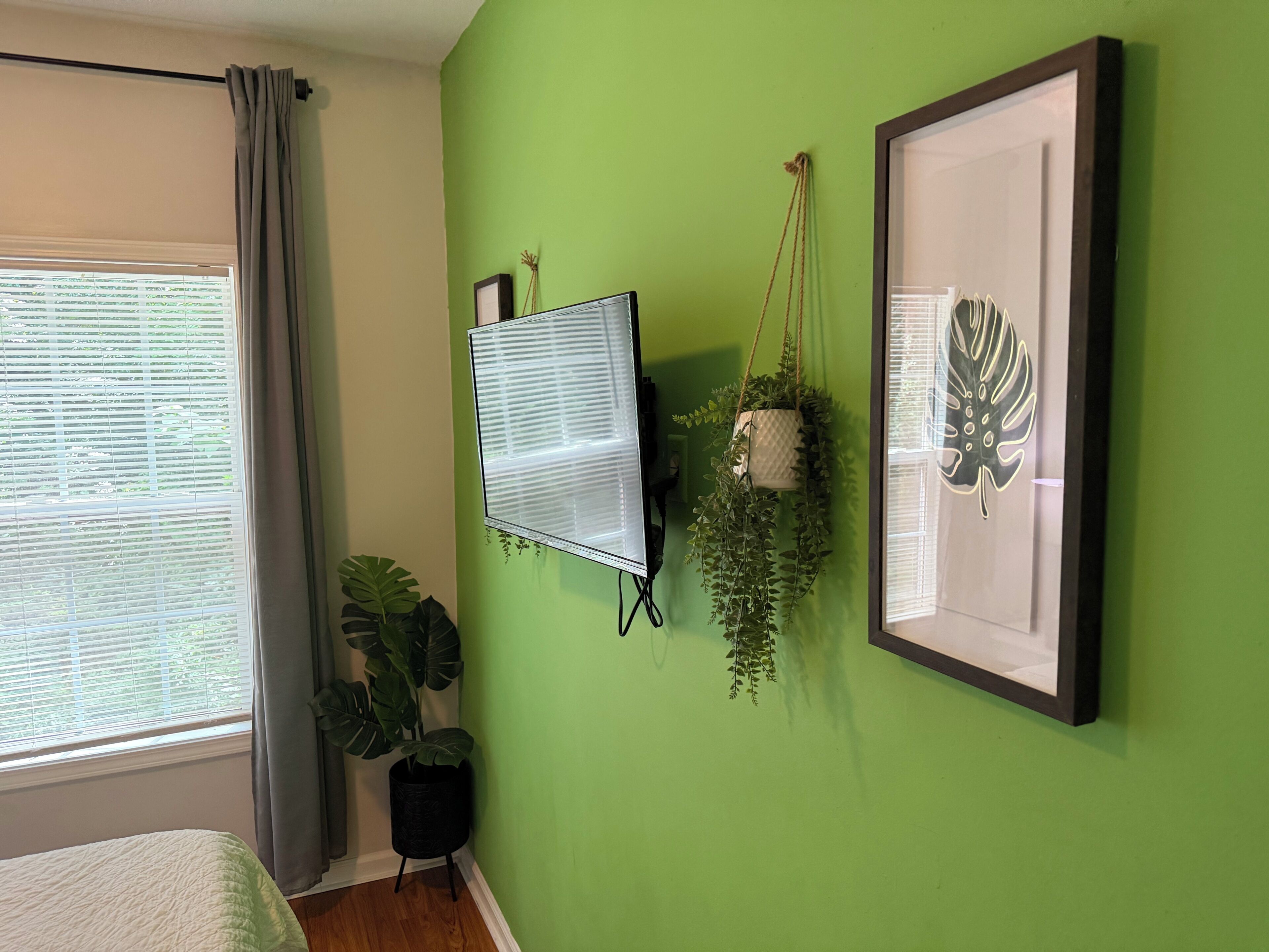 A room with a green wall, a window with curtains, a bed, a mounted TV, a framed picture, and two hanging plants.