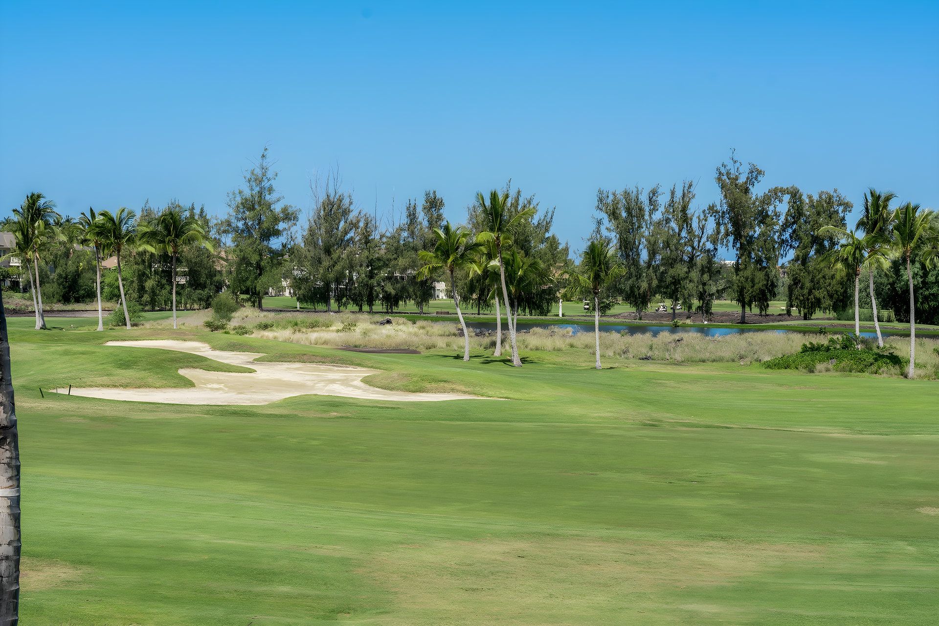 Een golfbaan met zandbunkers, een vijver en palmbomen.