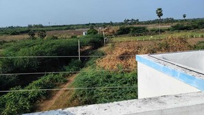 Paisaje rural con un camino de tierra, vegetación y una construcción pequeña a lo lejos.