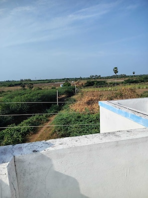 A rural landscape with a dirt path, greenery, and a distant view of a small building.