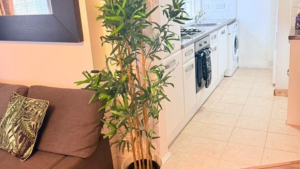 A living room with a brown sofa, a decorative pillow, a potted plant, a kitchen with a washing machine, and a tiled floor. - 
Cossy two bedroom apartment in Canning Town (London)