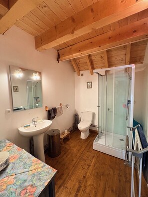 A bathroom with a wooden ceiling, a sink, a toilet, a glass shower enclosure, and a mirror. - Spacious family chalet in a quiet setting with breathtaking views (Albiez-Montrond)