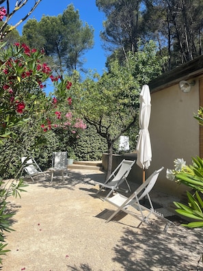 Terraza o patio