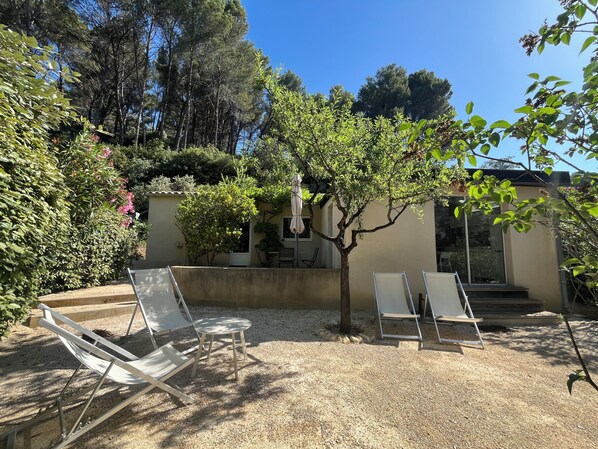 Terraza o patio