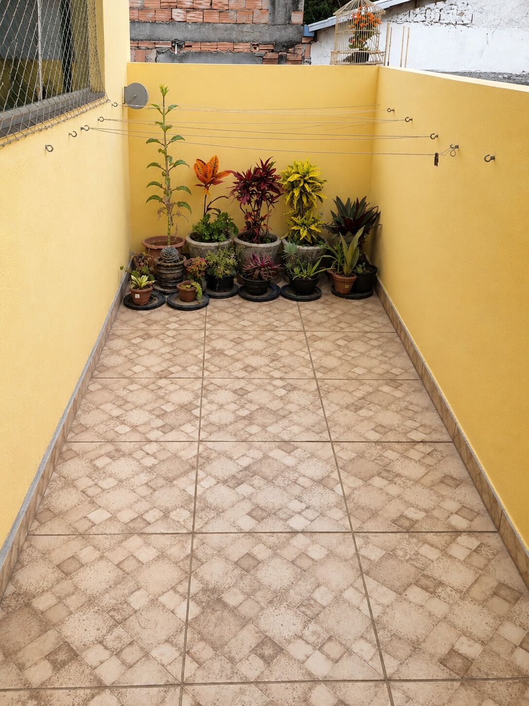 Área da propriedade