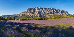 A mountain landscape with a field of lavender in the foreground. - CASA-Jeanne, piscine et vue mer pour 4 (Cavalaire-sur-Mer)