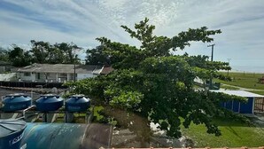 Una azotea con vista a un árbol, un edificio y un espacio cubierto de césped.