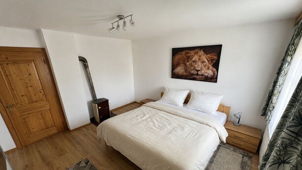 A bedroom with a bed, a nightstand, a lamp, a painting of a lion, a wooden door, and a radiator.
