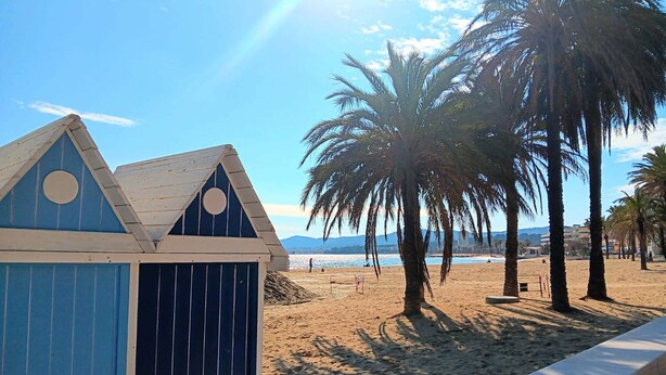 Une scène de plage avec un bâtiment bleu, des palmiers et un ciel dégagé.